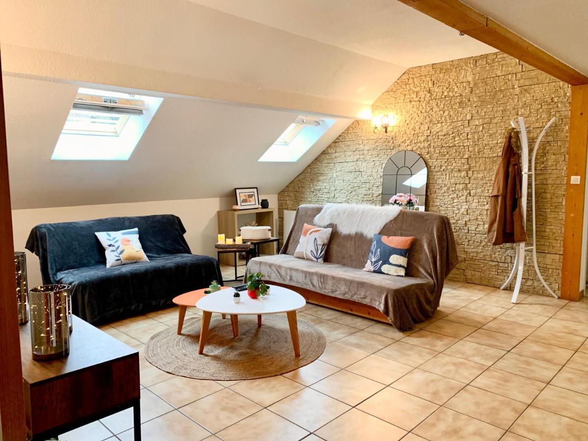 Charmant Appart Sous Toits Proche Chateau Des Ducs シャンベリ エクステリア 写真